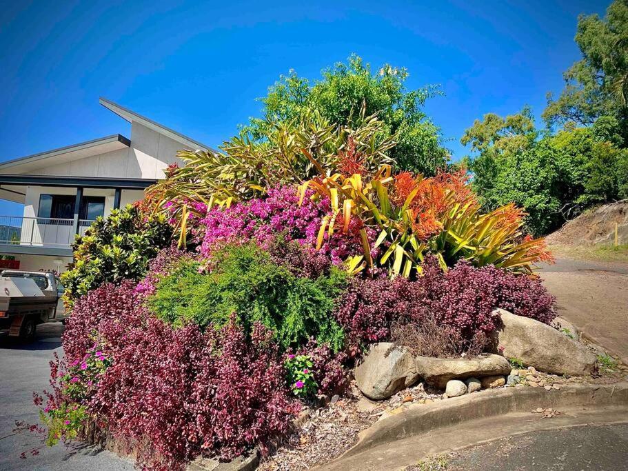 Ferienwohnung Whitsunday Dreams Airlie Beach Exterior foto